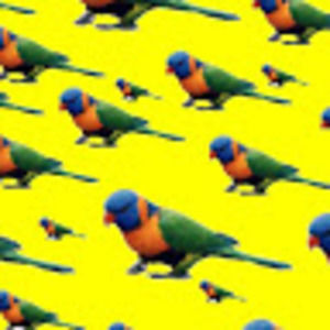 Meet your Posher, Kelley